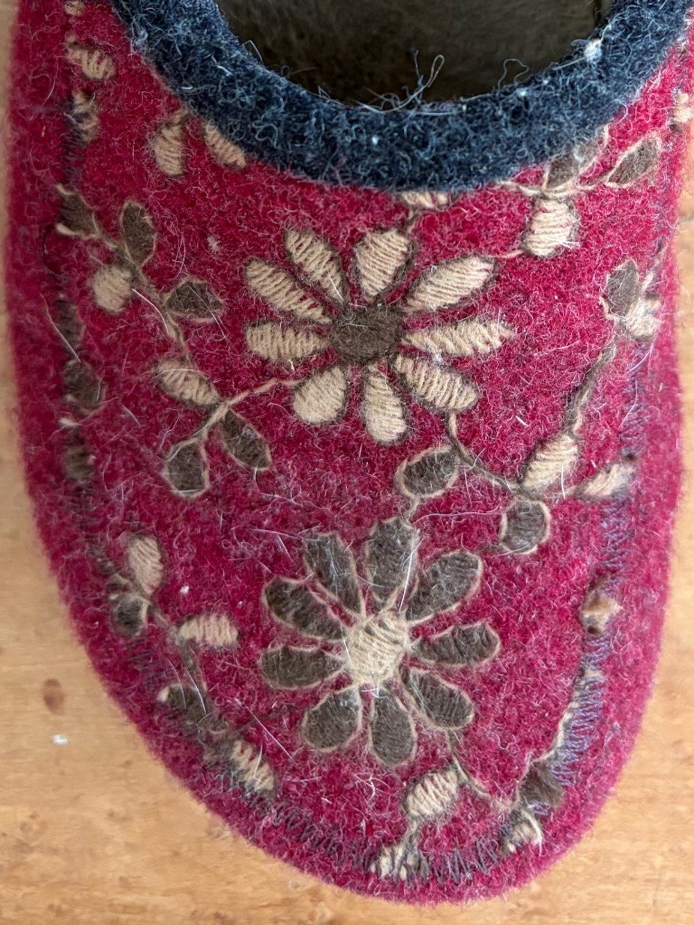 TAOS Wool-Embroidered and Wool-Lined Slip-On Clog